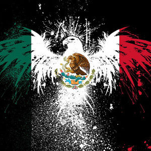 Meet your Posher, Mayte